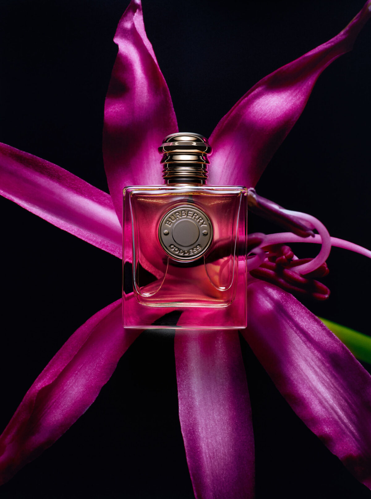 Burberry, beauty, beauty product, fragrance, Narcisse, perfume, scent, productphotography, stilllife, photography, klas foerster